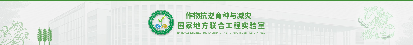 作物抗逆育种与减灾 国家地方联合工程实验室