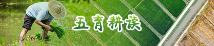 五育耕读